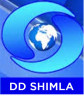 DD Shimla